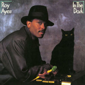 ROY AYERS | IN THE DARK - US