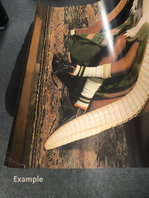 DOECHII ALLIGATOR BITES NEVER HEAL POSTER (NOT MINT ON CORNERS) 566