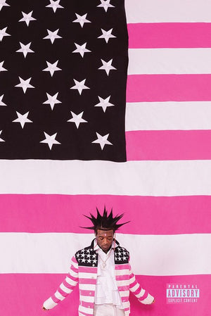 LIL UZI VERT PINK FLAG POSTER 132