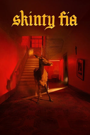 FONTAINES DC SKINTY FIA POSTER 120