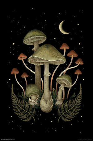 DEATH CAP MUSHROOMS POSTER 440