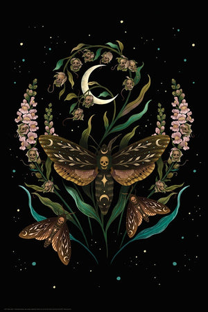 DEATHS HEAD HAWKMOTH POSTER 34