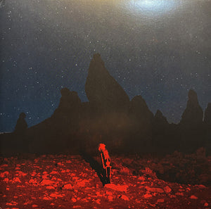 PHOEBE BRIDGERS | PUNISHER (VINYL)