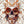 DELICATE FLORAL SKULL POSTER 103