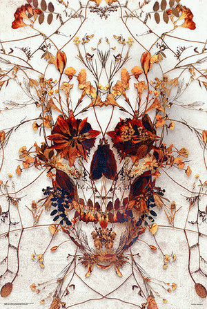 DELICATE FLORAL SKULL POSTER 103