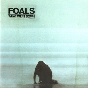 FOALS | WHAT WENT DOWN