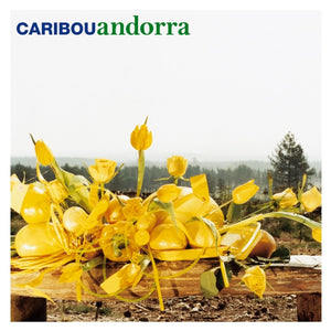 CARIBOU | ANDORRA
