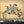 ARCADE FIRE | FUNERAL - 2017 REISSUE