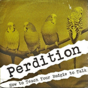 PERIDITION | HOW TO TEACH YOUR BUDGIE TO TALK