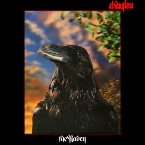 STRANGLERS | RAVEN - 3D COVER - LIGHT BLEACHING PLAYS FINE