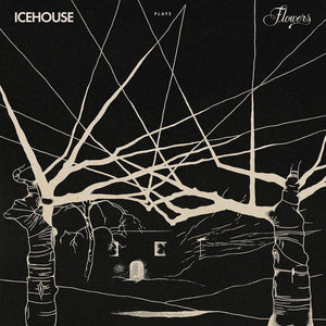 ICEHOUSE PLAYS FLOWERS LIVE (2LP SET) (VINYL) | ICEHOUSE