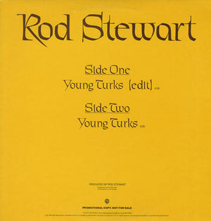 ROD STEWART | YOUNG TURKS - 12