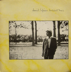 DAVID SYLVIAN | BRILLIANT TREES - NZ