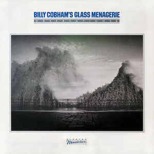 BILLY COBHAM | OBSERVATIONS AND - DELETION CUT