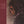 BOB DYLAN | BLOOD ON THE TRACKS (VINYL)