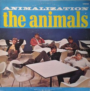 ANIMALS | ANIMALIZATION - US
