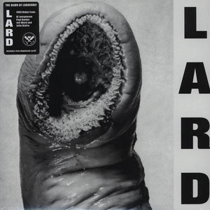 LARD | POWER OF LARD - EP 2010 REISSUE