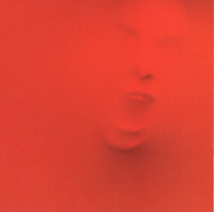 RED | UNTIL WE HAVE FACES