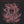 CORPUS OFFAL | CORPUS OFFAL