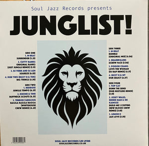 VARIOUS | JUNGLIST - OLD SCHOOL RAGGA, D & B, JUNGLE 1973 - 95 (2LP SET) (VINYL)