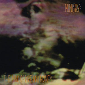 MINISTRY | LAND OF RAPE AND HONEY