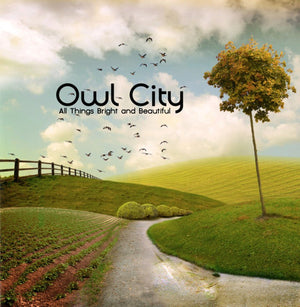 OWL CITY | ALL THINGS BRIGHT AND BEAUTIFUL