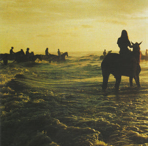 FOALS | HOLY FIRE