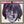 BEE GEES | IDEA - US - BIT ROUGH
