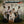 CON FUNK SHUN | SECRETS