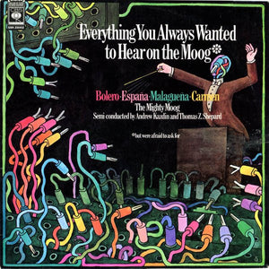 ANDREW KAZDIN / THOMAS Z SHEPARD | EVERYTHING YOU ALWAYS WANTED TO HEAR ON THE MOOG - AU