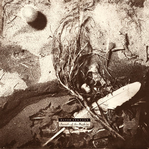 DAVID SYLVIAN | SECRETS OF THE BEEHIVE