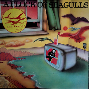FLOCK OF SEAGULLS | FLOCK OF SEAGULLS - NZ