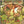 SPYRO GYRA | MORNING DANCE - US PRESSING