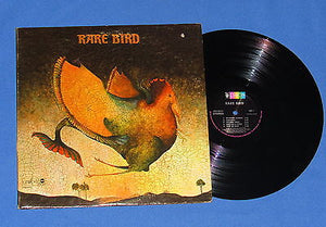 RARE BIRD | RARE BIRD - US