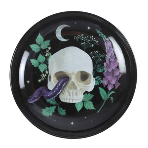 VENOM AND VINES SKULL WITH SNAKE CERAMIC TRINKET DISH