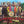 BEATLES | SGT PEPPERS - NZ GREEN APPLE - HMV