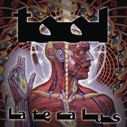TOOL LATERALUS PRINT (12X12) BOARD/ BAGGED