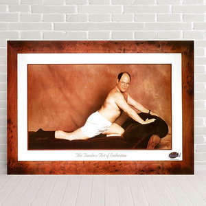 GEORGE COSTANZA COUCH SEINFELD POSTER 337