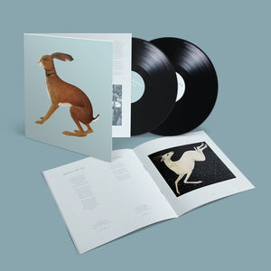 VASHTI BUNYAN | LOOKAFTERING (EXPANDED EDITION) (2LP SET) (VINYL)