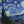 VAN GOGH STARRY NIGHT POSTER 322