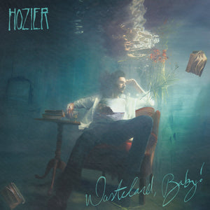 HOZIER | WASTELAND BABY (ANNIVERSARY EXPANDED EDITION) (2LP SET) (5 BONUS TRACKS) (VINYL)
