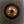 WOODEN 7INCH VINYL RECORD ADAPTER CENTRE SPACER SPINDLE DOME GK-R23W