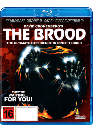 MOVIE BLHOR | BROOD (BLU - RAY)