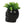 BLACK CERAMIC SKULL POT PLANTER INDOOR