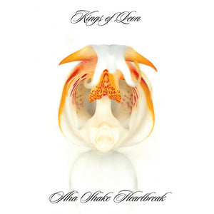 KINGS OF LEON | AHA SHAKE HEARTBREAK