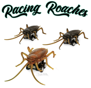 RACING ROACHES WIND UP COCKROACH