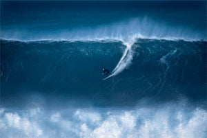 CRIBBAR NEWQUAY SURFER MINI POSTER 40*50CM 87