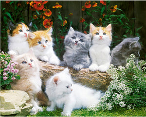 BABY CATS RETRO MINI POSTER 40X50CM 694