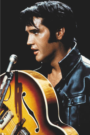 ELVIS THE KING POSTER 88