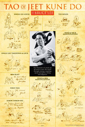 BRUCE LEE TAO OF JEET KUNE DO TEACHINGS POSTER 321